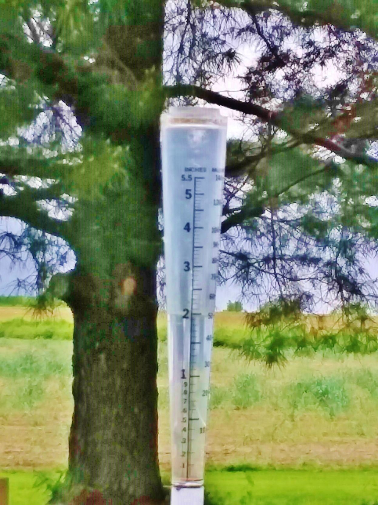 Rain gauge